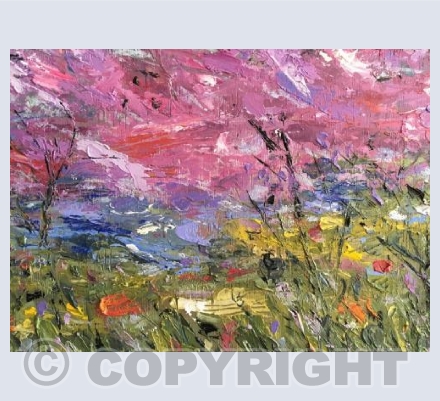 Pink sky, view to Mount's Bay