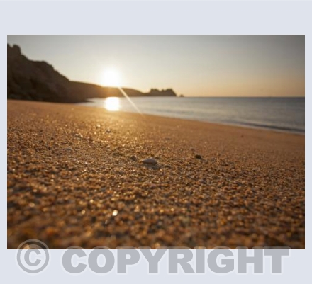 Porthcurno Shell