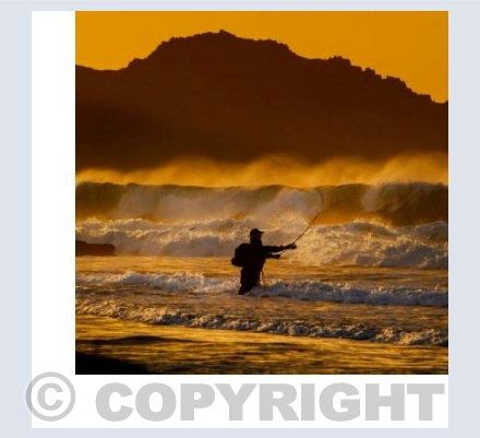 Sea FIshing