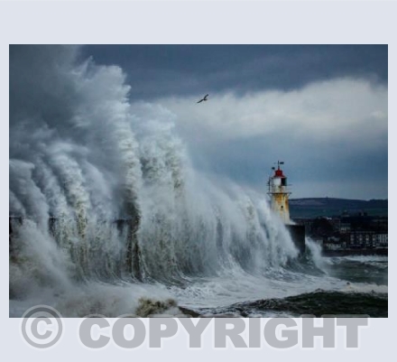 Newlyn Pier