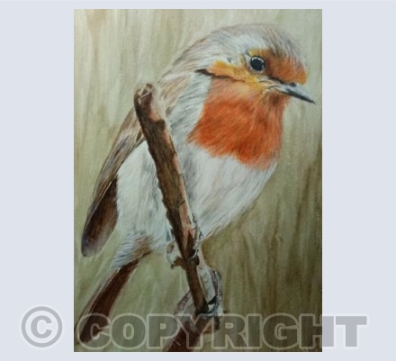 "Robin"
