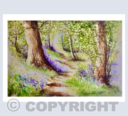 Bluebell landscape 