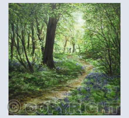 Path through woodlands