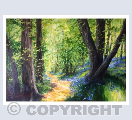 Wandering through the Bluebells 