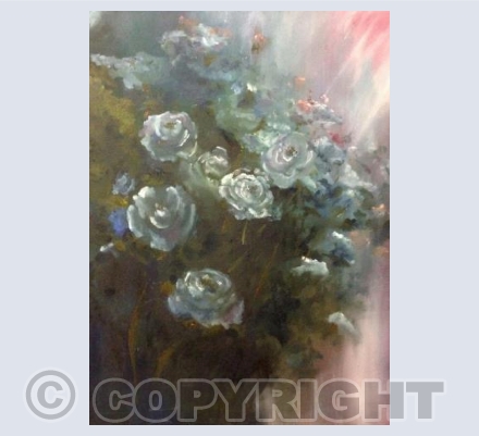 Rosey Rays of Healing Light