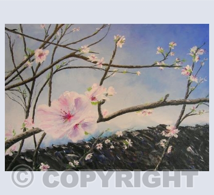 Arrival of spring, blossom