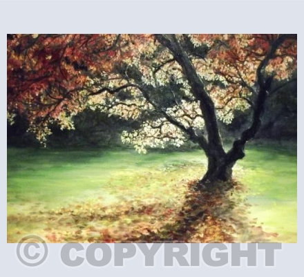 My love of Trees VII 