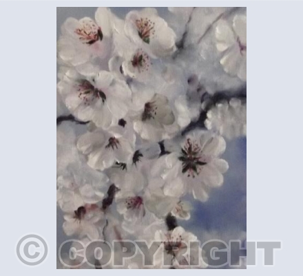 Almond Blossom 