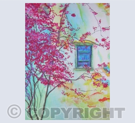 Bougainvillea and Blue Shutter