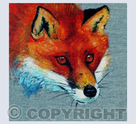 Cunning Mr Fox