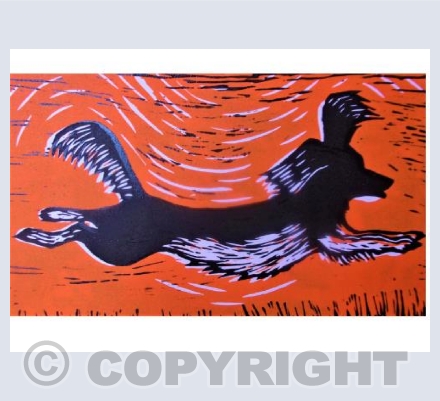 Leaping Spaniel, Orange