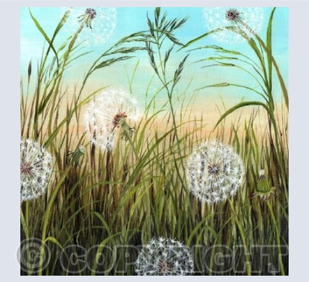 "Dandelion clocks" by Natasha Pitts