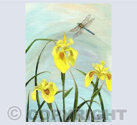 "Serenity" By Natasha Pitts