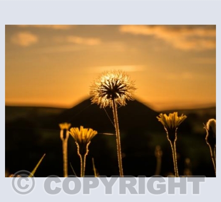 Silbury Sunset