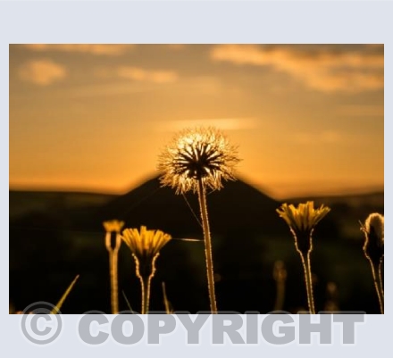 silbury silhouette