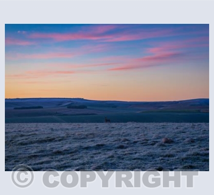 Waden Hill