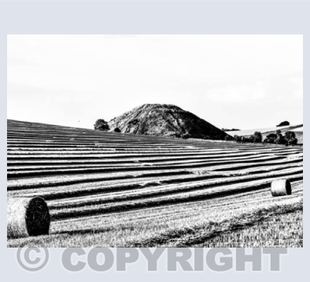 Silbury Harvest