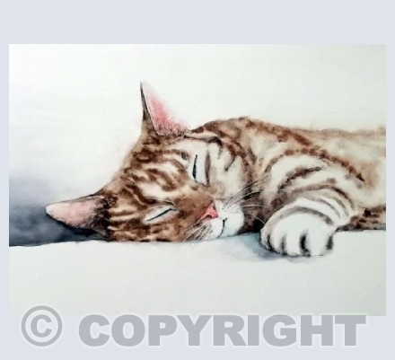 Do Not Disturb