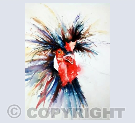 Crazy Bird
