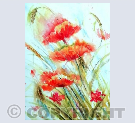 Poppies