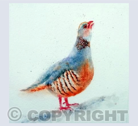 somethng to sing about