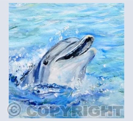 Laughing Dolphin