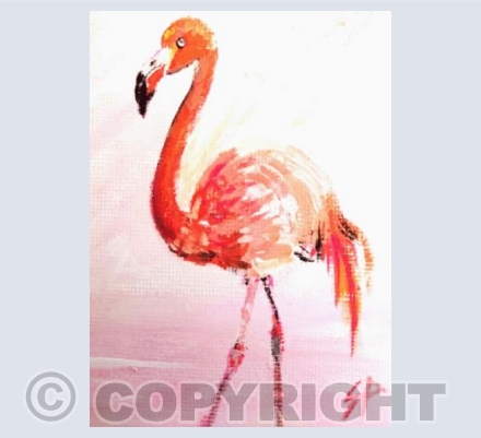 flamingo