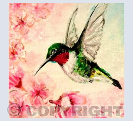hummingbird in blossoms