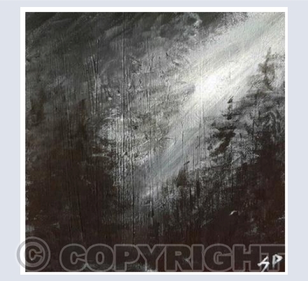 Black And White Forest