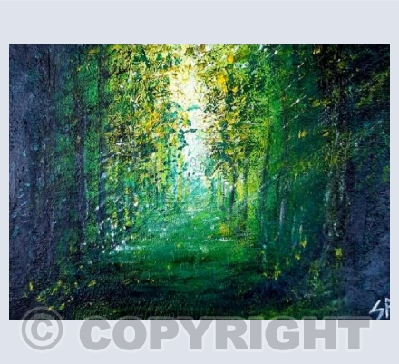 Forest Light
