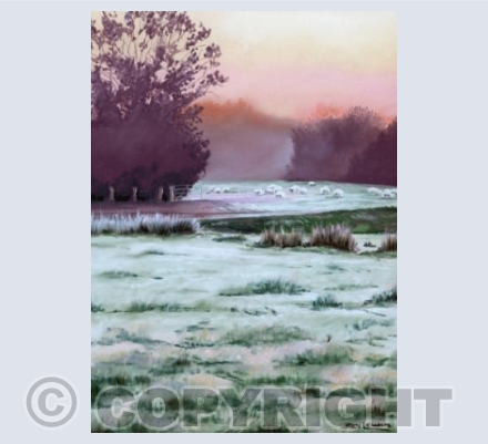 Frosty Fields