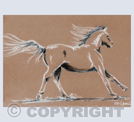 Galloping Grey