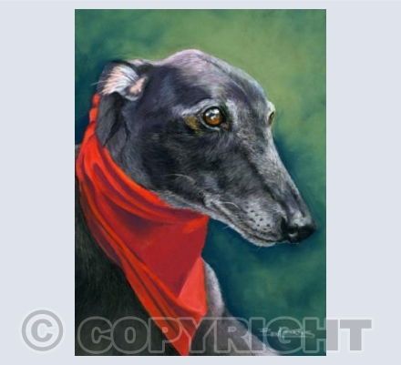 Greyhound