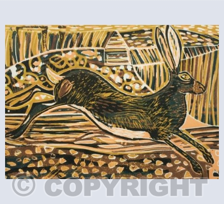 'Hare'