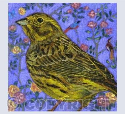 Yellowhammer