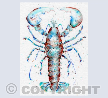 'Norfolk Lobster'