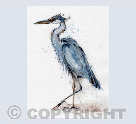 Lock up your Goldfish