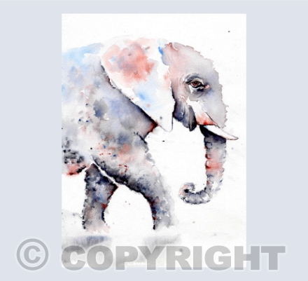 'Elephant in the Room'