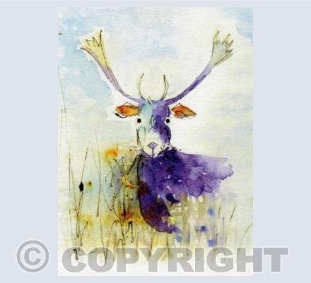 Loose Moose