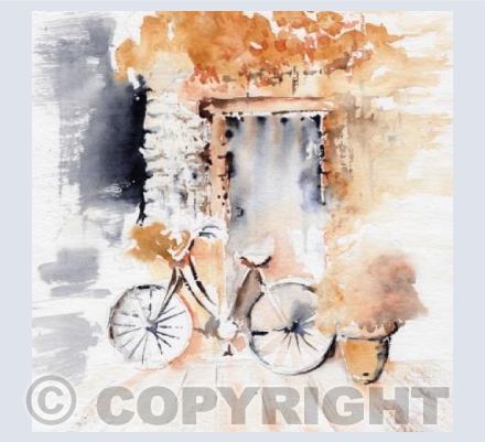 Evening Bicycle Ride