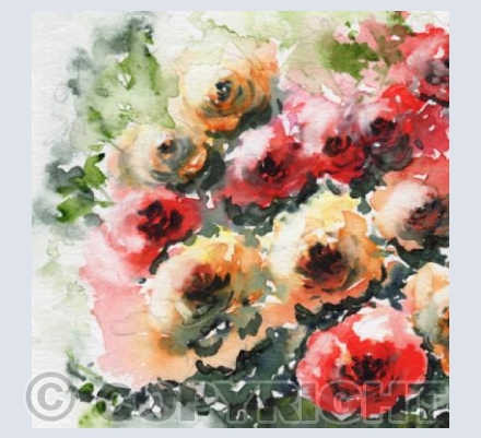 'Rose Garden'