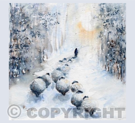 'Homeward Bound'