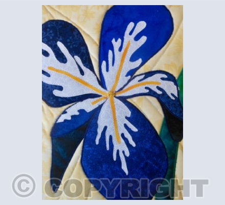 Iris