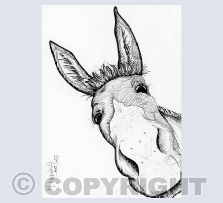 Donkey Ink Art