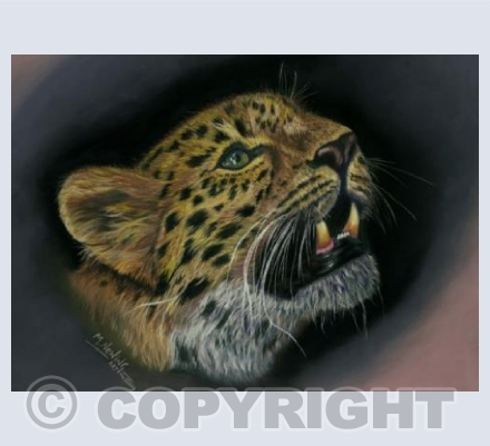 The Secretive Hunter