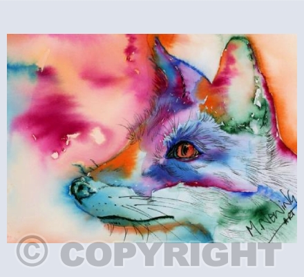 Foxy