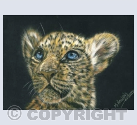 Jesse, a gift of hope.