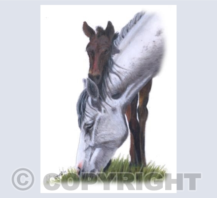 Only Foals and Horses - Lean On Me