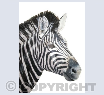 Wonderful Wildlife - Lucky