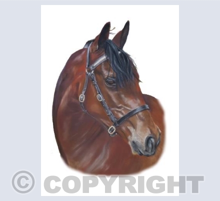 Exquisite Equines - Ruby